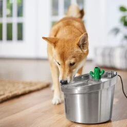 Frisco Stainless Steel Cactus & Leaf Dog & Cat Fountain 14 Frisco Stainless Steel Cactus & Leaf Dog & Cat Fountain -Frisco 355814 PT5. AC SS1800 V1665683869