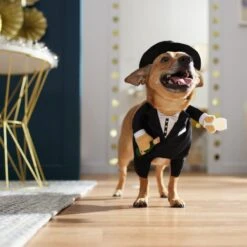 Frisco Front Walking New Years Tuxedo Dog & Cat Costume -Frisco 358028 PT7. AC SS1800 V1661799888