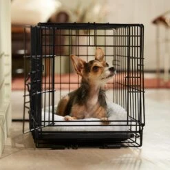 Frisco Adjustable Electrical Dog & Cat Heated Crate Mat With Timer 14 Frisco Adjustable Electrical Dog & Cat Heated Crate Mat With Timer -Frisco 358546 PT5. AC SS1800 V1662500981