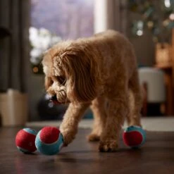 Frisco Holiday Ho Ho Ho Fetch Squeaky Tennis Ball Dog Toy 9 Frisco Holiday Ho Ho Ho Fetch Squeaky Tennis Ball Dog Toy -Frisco 360952 PT3. AC SS1800 V1661874421