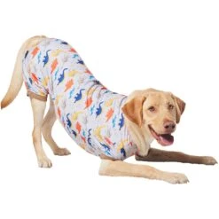 Frisco Dinosaur Dog & Cat Jersey PJs 10 Frisco Dinosaur Dog & Cat Jersey PJs -Frisco 609062 PT4. AC SS1800 V1681488688