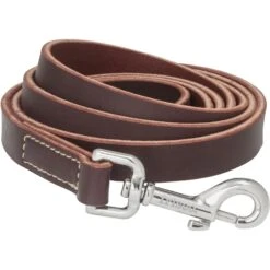 Frisco Top Grain Leather Leash + 4 Items -Frisco 630958 PT3. AC SS1800 V1662739527