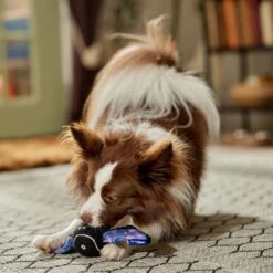 Frisco Halloween Bat Fetch Squeaky Tennis Ball Dog Toy -Frisco 668278 PT3. AC SS1800 V1689350166