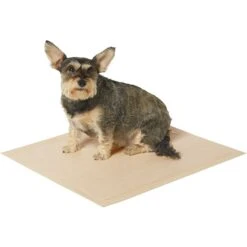 Frisco Large Eco-Conscious Dog Training & Potty Pads & American Journey Peanut Butter Recipe Grain-Free Oven Baked Crunchy Biscuit Dog Treats 14 Frisco Large Eco-Conscious Dog Training & Potty Pads & American Journey Peanut Butter Recipe Grain-Free Oven Baked Crunchy Biscuit Dog Treats -Frisco 678574 PT3. AC SS1800 V1667863365