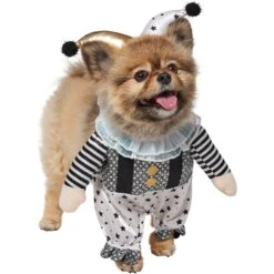 Frisco Front Walking Glitter Clown Dog & Cat Costume 14 Frisco Front Walking Glitter Clown Dog & Cat Costume -Frisco 707542 PT3. AC SS1800 V1689278296