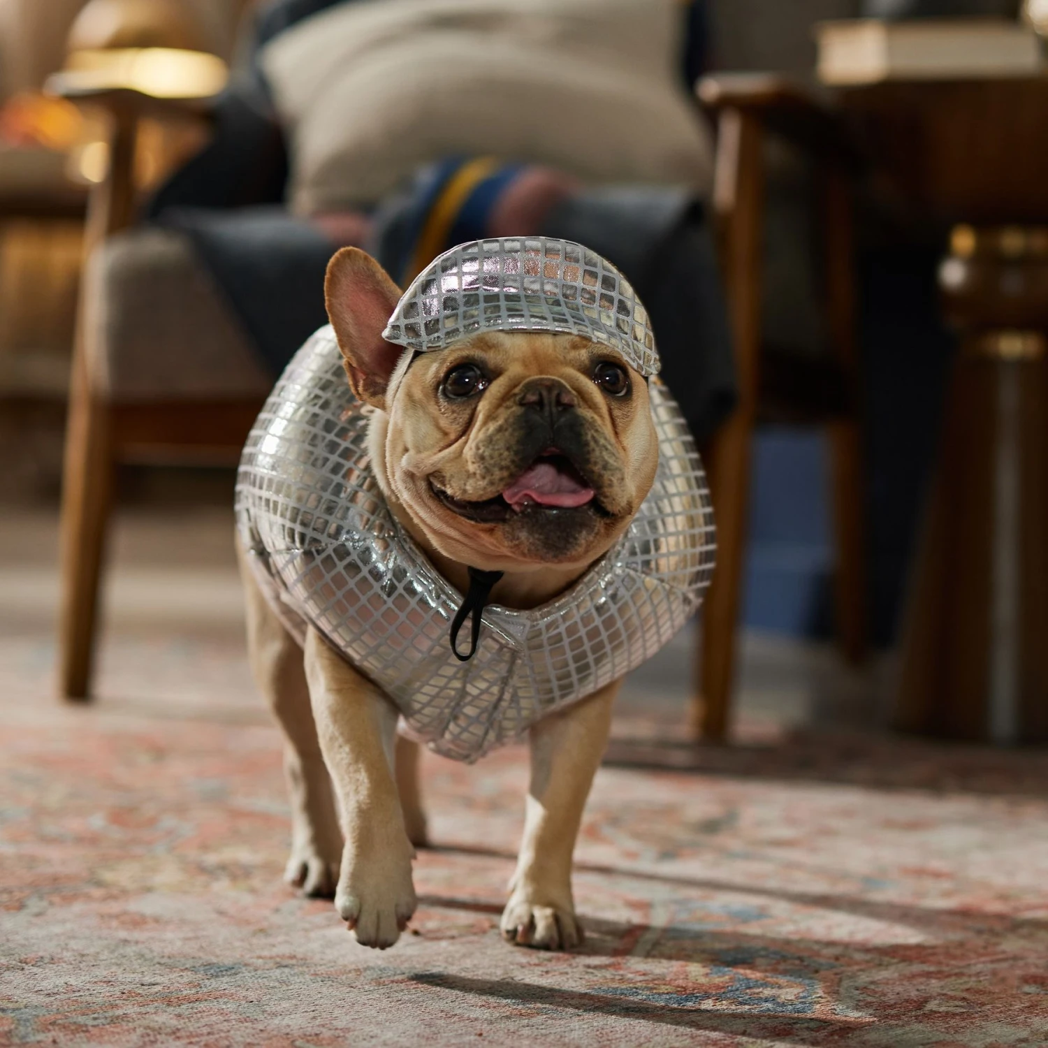 Frisco Disco Ball Dog & Cat Costume 9 Frisco Disco Ball Dog & Cat Costume - Image 7