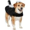Frisco Faux Fur Skunk Dog & Cat Costume -Frisco 708078 MAIN. AC SS1800 V1689350100