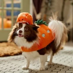 Frisco Furry Dinosaur Dog & Cat Costume 16 Frisco Furry Dinosaur Dog & Cat Costume -Frisco 708190 PT7. AC SS1800 V1689278373