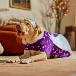 Frisco Shooting Stars Dog & Cat Costume -Frisco 708614 PT7. AC SS1800 V1689278699