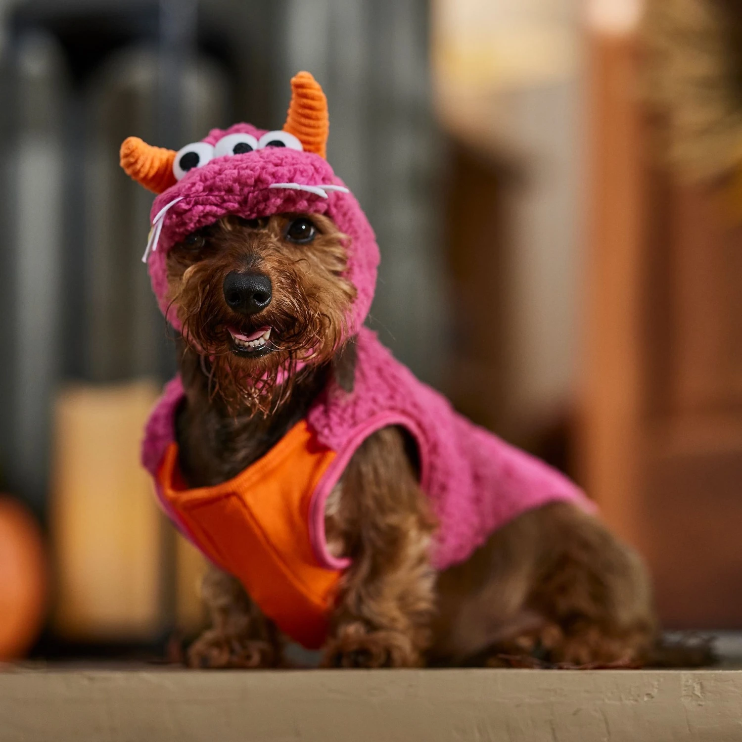 Frisco Zany Monster Dog & Cat Costume 9 Frisco Zany Monster Dog & Cat Costume - Image 7