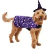 Frisco Cosmic Witch Dog & Cat Costume 2 Frisco Cosmic Witch Dog & Cat Costume -Frisco 708982 MAIN. AC SS1800 V1689282565