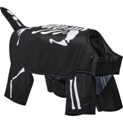 Frisco Glow In The Dark Skeleton Dog & Cat Costume -Frisco 709038 PT3. AC SS1800 V1689351051