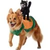Frisco Pumpkin Cat Ride-On Dog & Cat Costume -Frisco 709294 MAIN. AC SS1800 V1689270833
