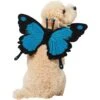 Frisco Magical Butterfly Wings Dog & Cat Costume Accessory 1 Frisco Magical Butterfly Wings Dog & Cat Costume Accessory -Frisco 713062 MAIN. AC SS1800 V1689271325