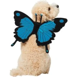 Frisco Magical Butterfly Wings Dog & Cat Costume Accessory