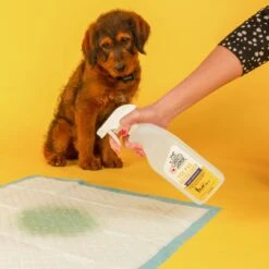 Skout's Honor Dog Pee Pad Refresher Spray, 28-oz Bottle & Frisco Washable Dog Potty Pads 15 Skout's Honor Dog Pee Pad Refresher Spray, 28-oz Bottle & Frisco Washable Dog Potty Pads -Frisco 772958 PT4. AC SS1800 V1676749044