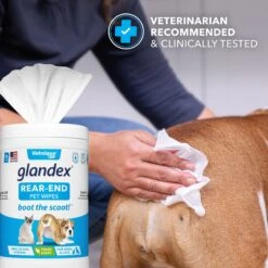 Vetnique Labs Glandex Wipes Rear End Anal Gland Cleansing & Deodorizing Hygienic Rear End Boot The Scoot Dog & Cat Wipes & Frisco Disposable Male Dog Wraps 15 Vetnique Labs Glandex Wipes Rear End Anal Gland Cleansing & Deodorizing Hygienic Rear End Boot The Scoot Dog & Cat Wipes & Frisco Disposable Male Dog Wraps -Frisco 826454 PT4. AC SS1800 V1682018155