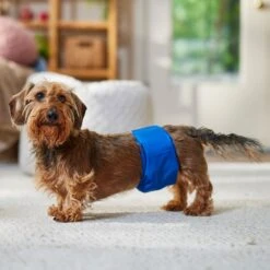Frisco Washable Dog Diaper Male Wraps -Frisco 862854 PT3. AC SS1800 V1698950172