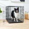 Frisco Fold & Carry Double Door Collapsible Wire Dog Crate -Frisco 88789 MAIN. AC SS1800 V1623171761