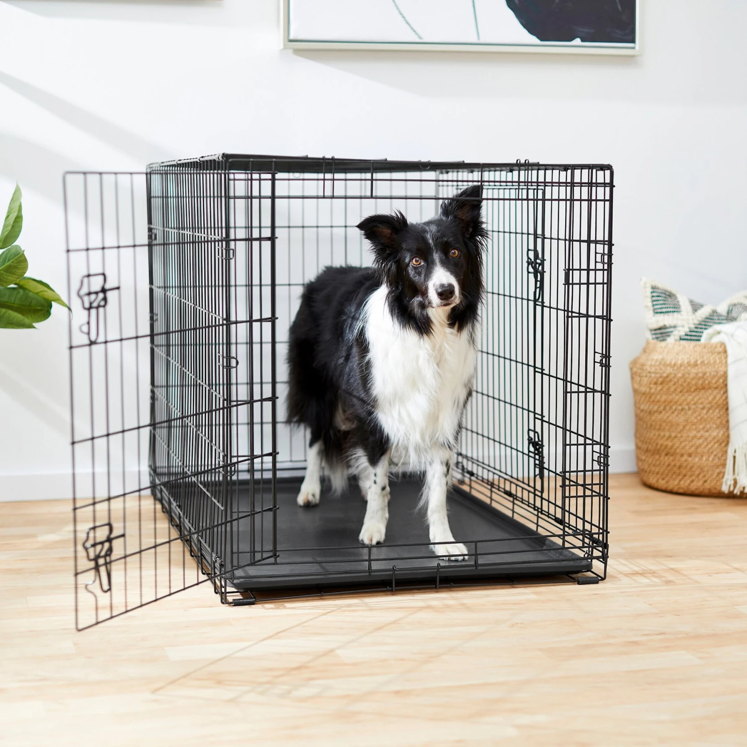 Frisco Fold & Carry Double Door Collapsible Wire Dog Crate 3 Frisco Fold & Carry Double Door Collapsible Wire Dog Crate