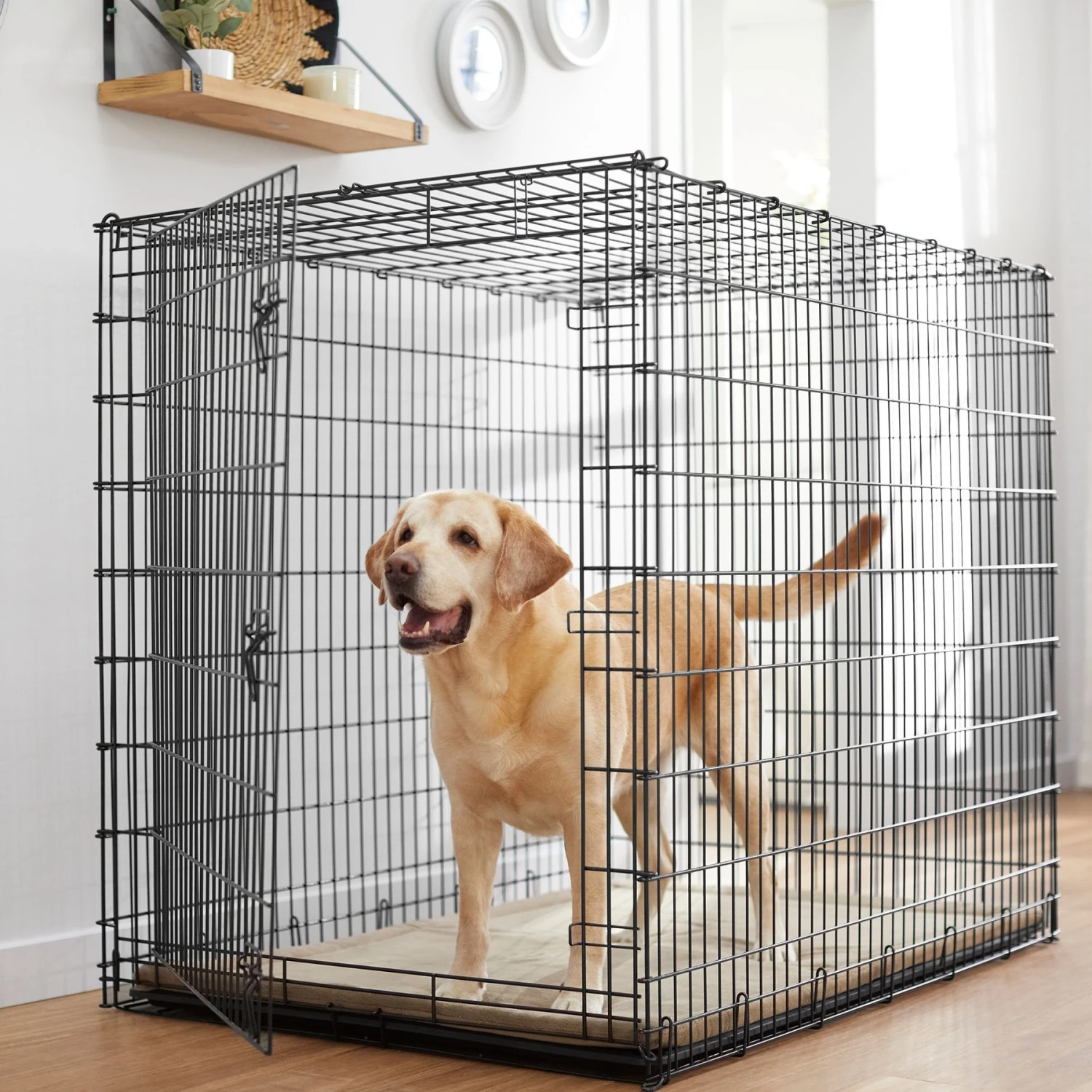 Frisco Heavy Duty Single Door Wire Dog Crate & MidWest Quiet Time Fleece Dog Crate Mat 4 Frisco Heavy Duty Single Door Wire Dog Crate & MidWest Quiet Time Fleece Dog Crate Mat - Image 2
