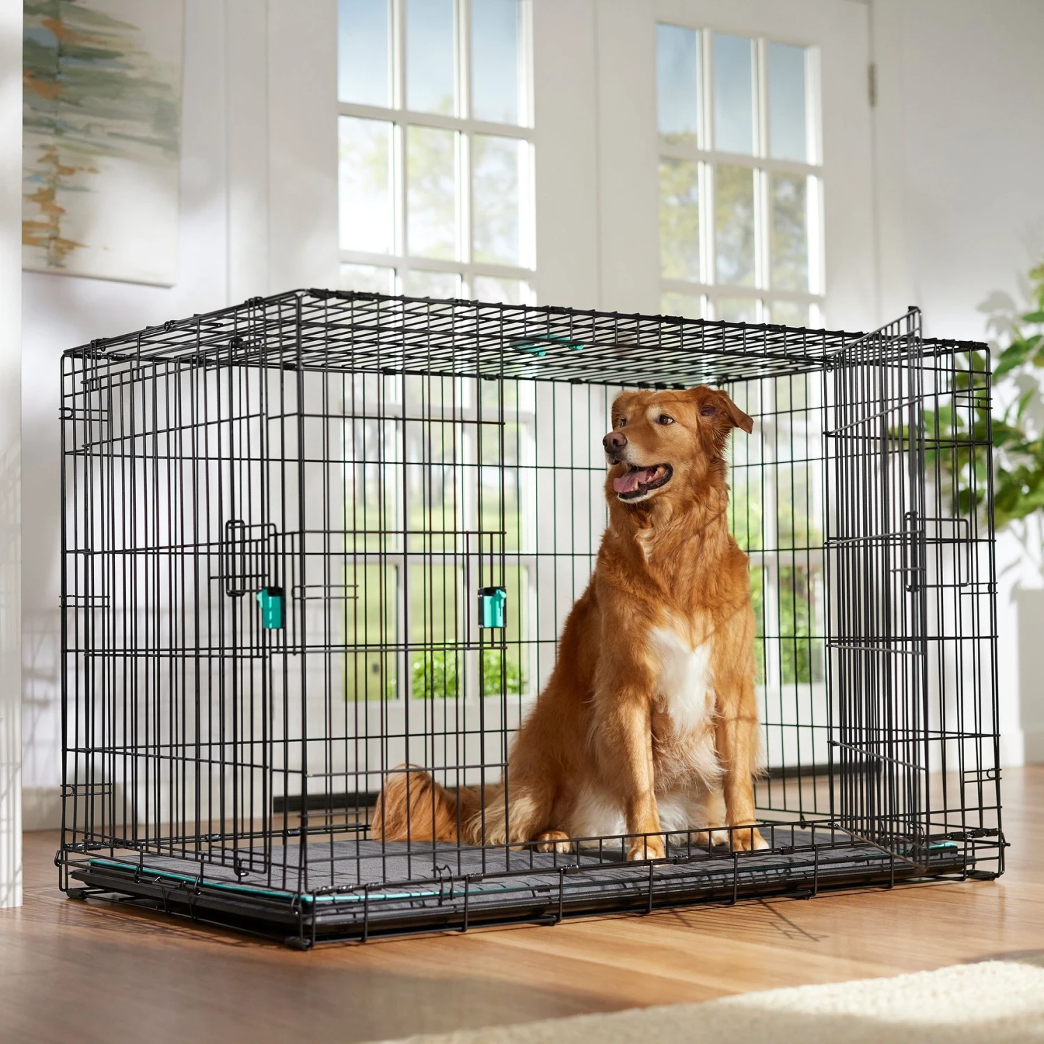 Frisco Heavy Duty Enhanced Lock Double Door Fold & Carry Wire Dog Crate & Mat Kit & MidWest Quiet Time Fleece Dog Crate Mat 4 Frisco Heavy Duty Enhanced Lock Double Door Fold & Carry Wire Dog Crate & Mat Kit & MidWest Quiet Time Fleece Dog Crate Mat - Image 2