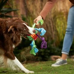 Frisco Fetch Colorful Ball Knot Rope Dog Toy & Frisco Monkey Plush With Rope Squeaky Dog Toy 13 Frisco Fetch Colorful Ball Knot Rope Dog Toy & Frisco Monkey Plush With Rope Squeaky Dog Toy -Frisco 962014 PT2. AC SS1800 V1694784008
